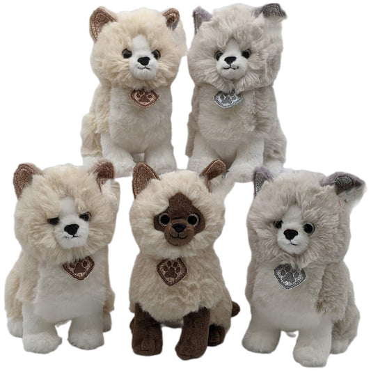 Kat Cleo - Knuffel - 3 Assorti - 20 cm